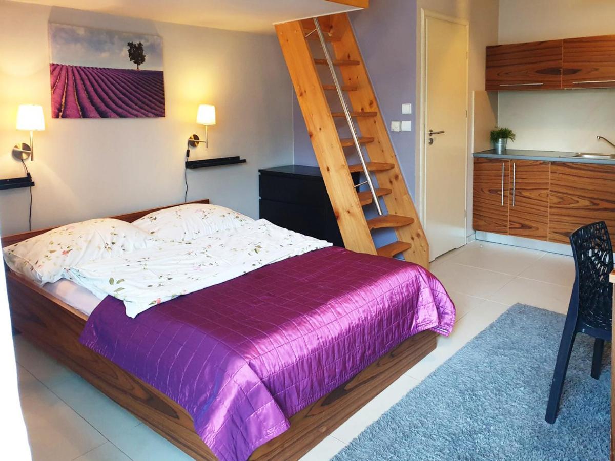 Apartamenty Brzozowa - Centrum Ζακοπάνε Εξωτερικό φωτογραφία